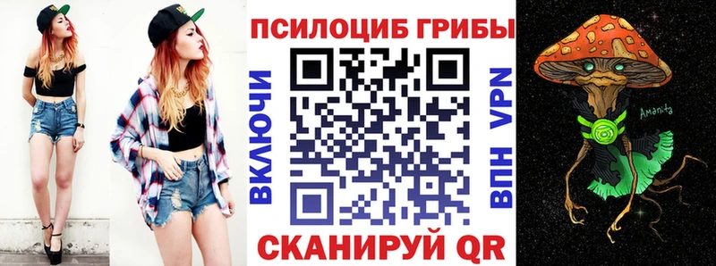 Псилоцибиновые грибы мицелий  Купить  Чусовой 